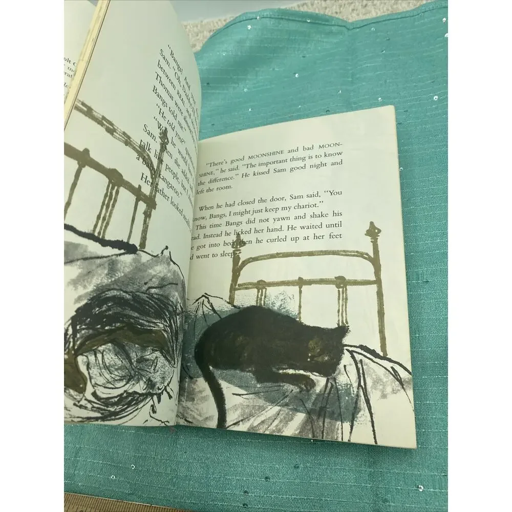 Sam, Bangs and Moonshine by Evaline Ness (1966 Paperback)